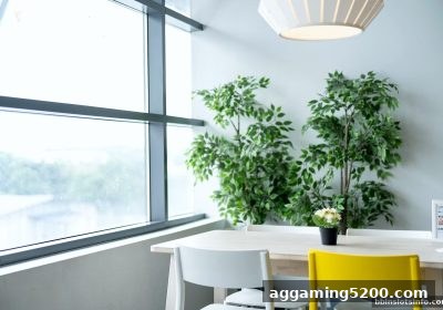 数字支付颠覆博弈生态：bbin电子站带你解码对手行为密码