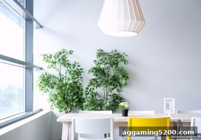 免佣百家乐玩法精解：bbin电子站助你掌握策略压制与概率优势
