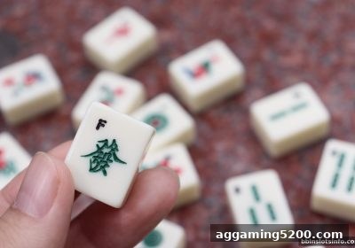 bbin电子站牌九番型进阶指南：从入门组合到至尊宝的实战秘籍