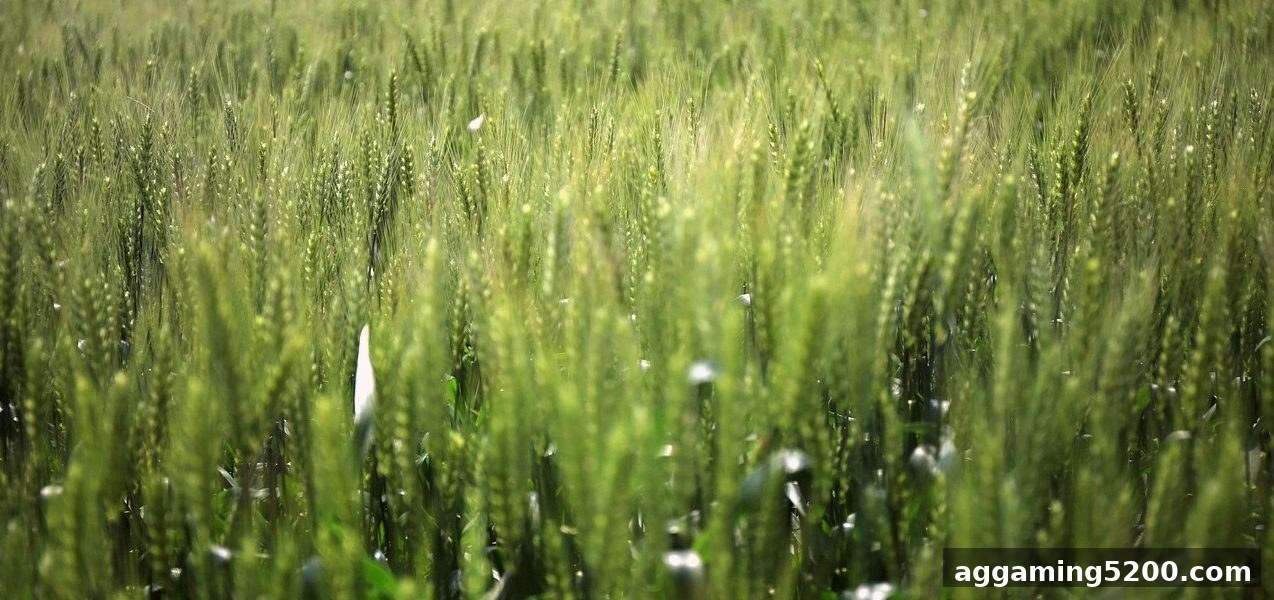bbin电子站每月流水返还计划：资格、规则与领取指南