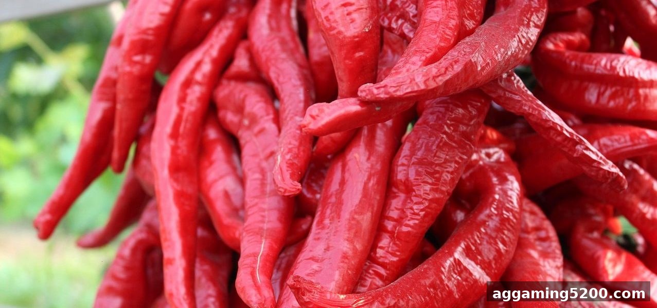 bbin电子站深度解析：水果机虚拟币与签到活动的全新体验