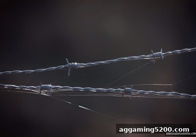 支付方式如何成为信任根基？bbin电子站深度解析