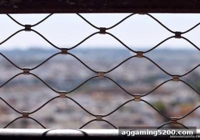 体育对冲实操手册：为什么bbin电子站能成为你的可靠伙伴